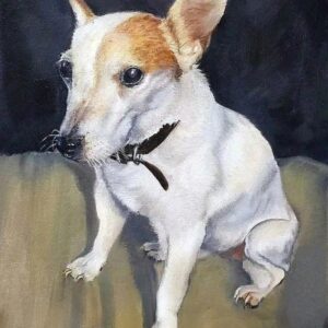 Jack Russell Terrier